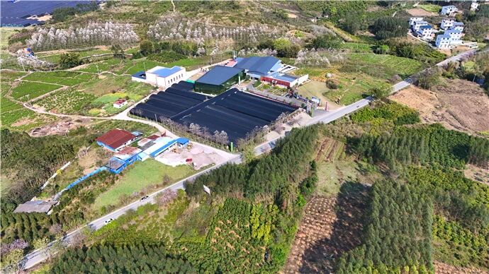 氢素泡腾片新剂型研发：宏瑶生物创新浓缩瑶浴技术解读